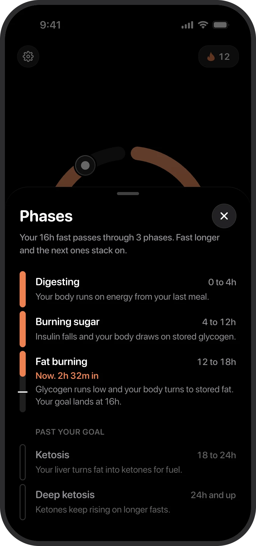 Lite's phase sheet showing the five fasting phases, hour by hour